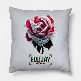 Ellijay Georgia Pillow