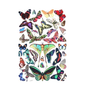 Butterflies T-Shirt