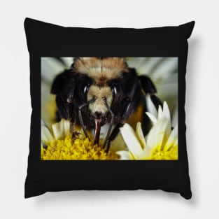 Large bumblebee gathering food on a flower Pillow