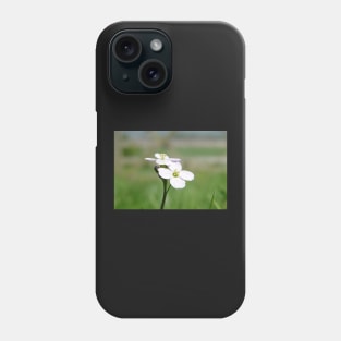 Cuckoo Flowers In The Grass Phone Case