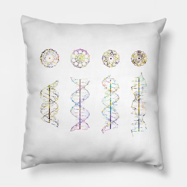 A-,B-,C- and Z-DNA Pillow by erzebeth