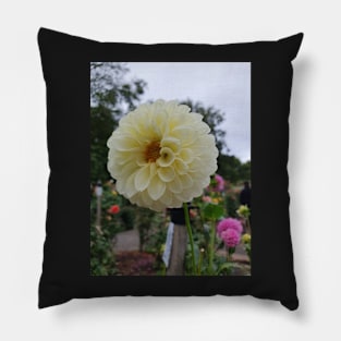 White Dahlia 2 Pillow