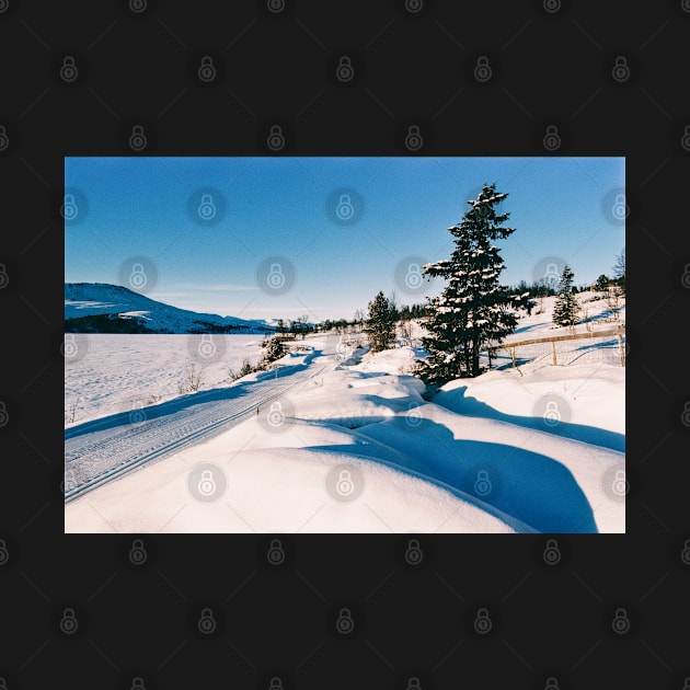 Cross-County Ski Run in Norwegian Winter Landscape Shot on Film by visualspectrum