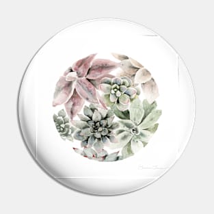 Circular Succulents Pin