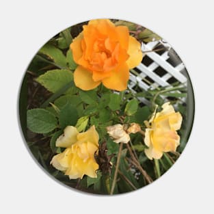 Rose 3 Pin