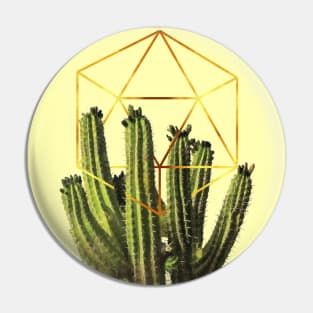 Cactohedron Pin