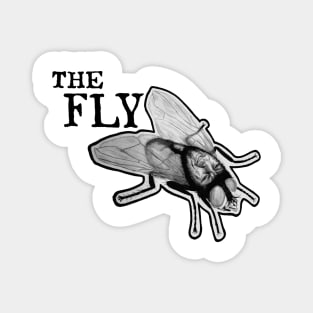 The Fly Magnet