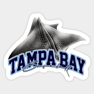 Tampa Bay Sport Teams Skyline Mascot Tampa Bay Buccaneers Tampa