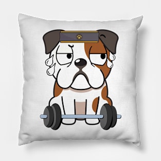 Funny bulldog is exercising Pillow