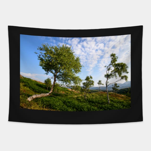 Spring on Tom Heights Tapestry by jldunbar