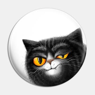 sarcastic black cat Pin