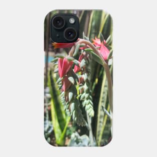 Pink flowering summer succulent Phone Case