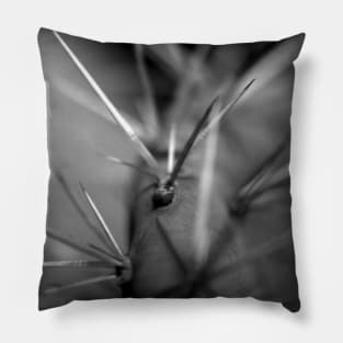 Pointy Pillow