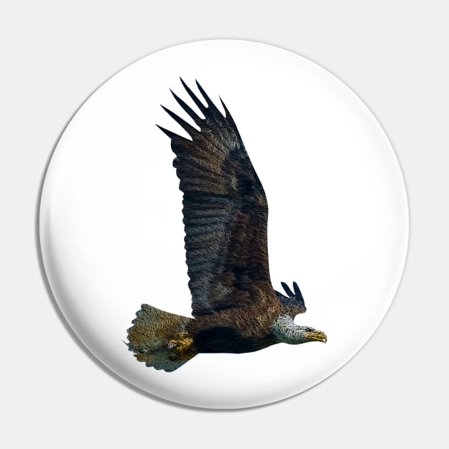 EAGLE Pin by MufaArtsDesigns