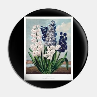 Hyacinths Pin