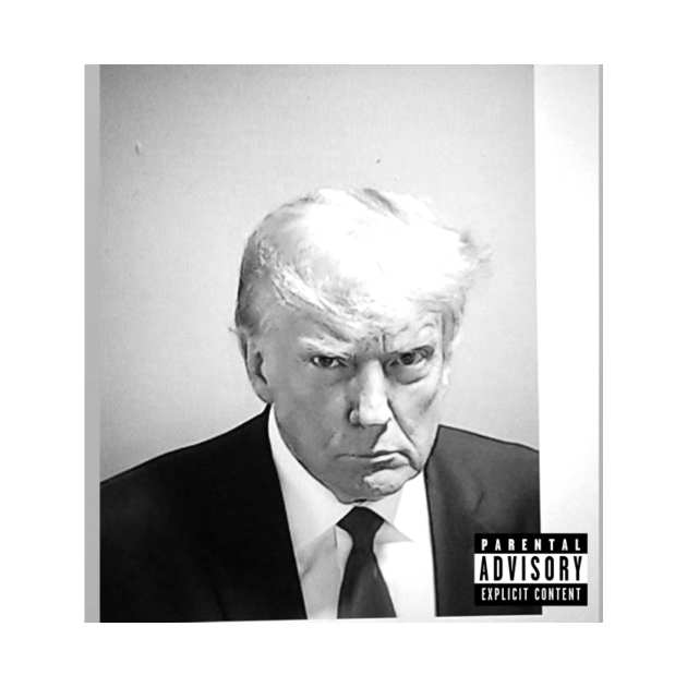 Donald Trump Mugshot Album Cover Trump TShirt TeePublic