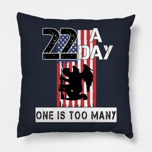 22 A Day Pillow