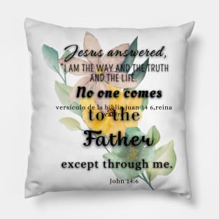 John 14:6 Pillow