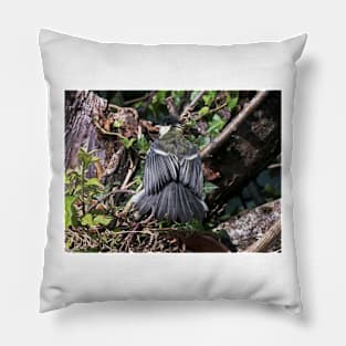 THE PANASONIC FZ 200 PAR OKAIO CREATION Pillow