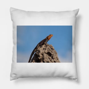 Red-Headed Agama Pillow