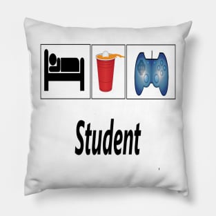 Student Pillow