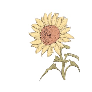 Sunflower hand drawn illustration T-Shirt