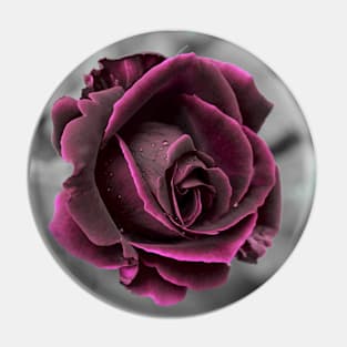 Purple Rose Pin