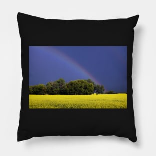 Trees, A Canola Field and a Rainbow Pillow