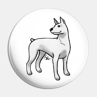 Dog - Doberman Pinscher - White Pin