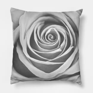 White Rose Flower Detail Macro Pillow