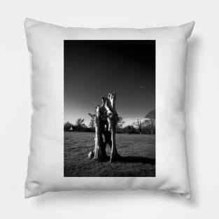 The Window Tree Pillow