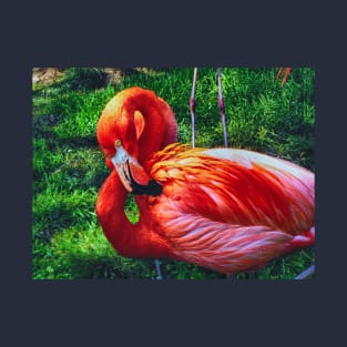 Flaming Flamingo T-Shirt