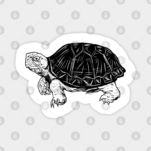 Line drawing - turtle Magnet by Modern Medieval Design