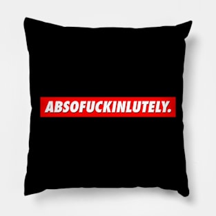 ABSOFUCKINLUTELY Pillow