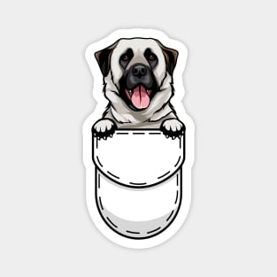 Funny Anatolian Shepherd Pocket Dog Magnet