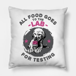 All Food Goes to the Labrador Retriever for Testing Pillow