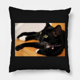 Hanging Out Pillow