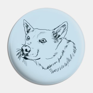 Jindo jindo Pin