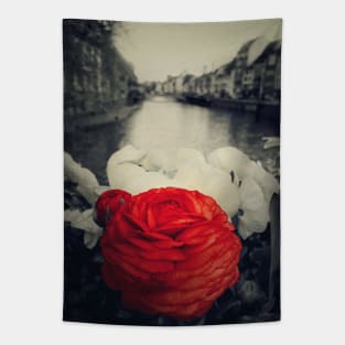 vintage red Tapestry