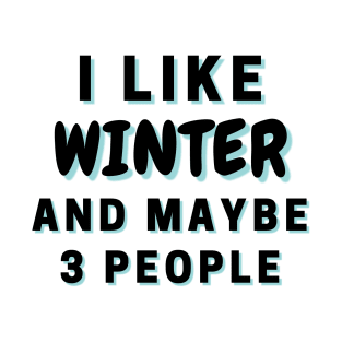 I Like Winter And Maybe 3 People T-Shirt