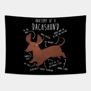 Red Dachshund Dog Anatomy Tapestry