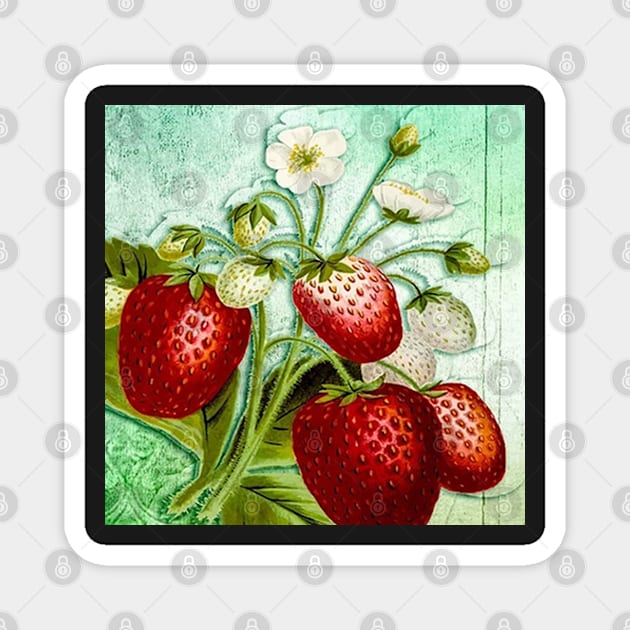 Strawberries Vintage Fruit Strawberry Design Retro Magnet by tamdevo1