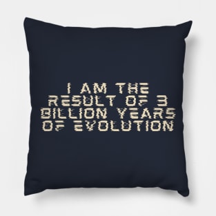 Result of evolution Pillow