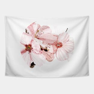 Cherry Tree Tapestry