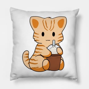 Tabby Cat Iced Coffee Pillow