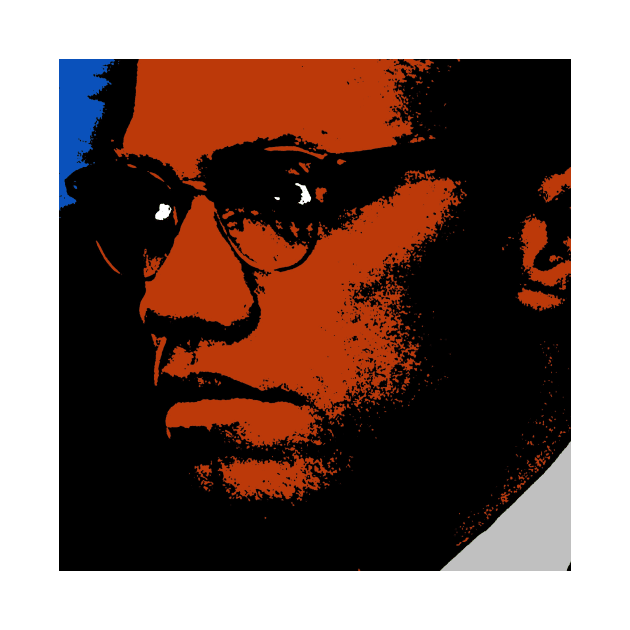 MALCOLM X-2 by truthtopower