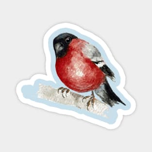 bullfinch on branch Magnet