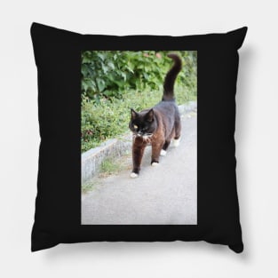 Cat - Switzerland Pillow