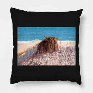 Assateague Pony Peekaboo on the Beach Pillow