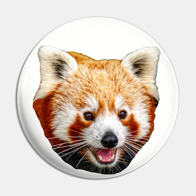 Cute Red Panda Pin by dalyndigaital2@gmail.com